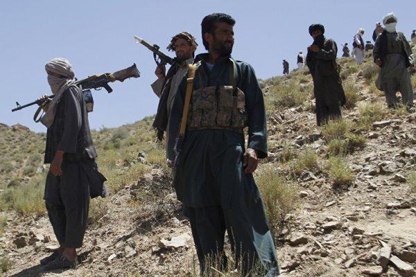 فرمانده طالبان: به مبارزه خود علیه دولت افغانستان ادامه فرمانده طالبان: به مبارزه خود علیه دولت افغانستان ادامه می دهیم