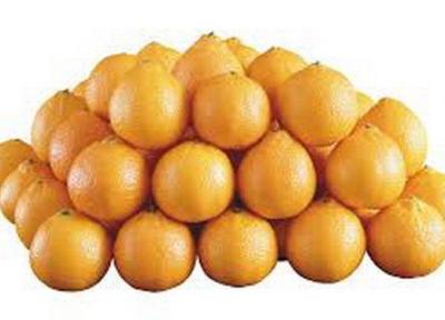 درخشش پرتقال های تامسون رودسر در شب عید سال جاری