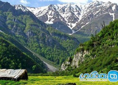 جنگل دوهزار تنکابن؛ زیبایی طبیعی در بطن مازندران