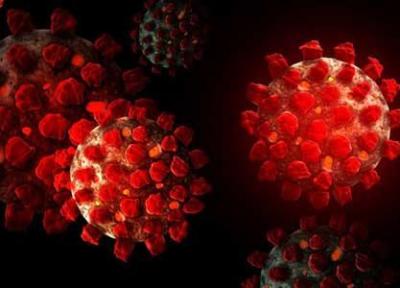 شناسایی دو نوع متفاوت از ویروس کرونا در آمریکا