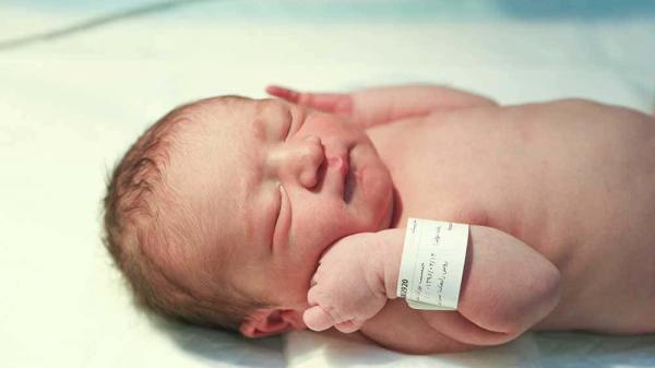 ثبت 533 هزار و 88 تولد در 6 ماه نخست امسال
